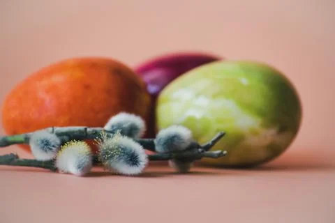 Multi colored Easter eggs and pussy willow Stock Photos