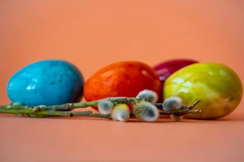 Multi colored Easter eggs and pussy willow Stock Photos