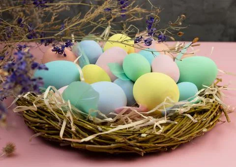 Multi-colored Easter eggs and feathers in pastel colors lie in a nest of Stock Photos