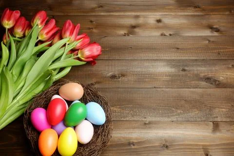 Multi colored easter eggs in birds nest and fresh red tulip flowers 스톡 사진