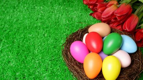 Multi colored easter eggs in birds nest and bouquet of red tulip flowers 스톡 사진