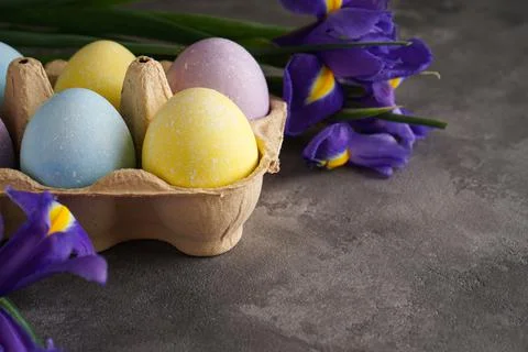 Multi colored Easter eggs in a cardboard box and fresh flower on a wooden bac Stock Photos