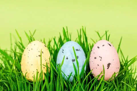 Multi-colored Easter eggs in green grass on a green background. Place for an Stock Photos