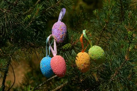 Multi colored Easter eggs on green pine branches Stock Photos