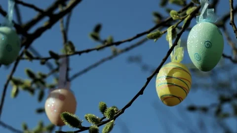 Multi-colored Easter Eggs hang on the branches of a flowering willow. Stock Footage 181023436