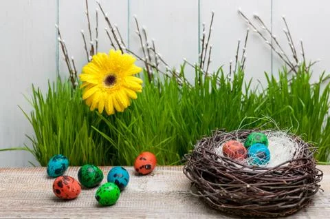 Multi-colored eggs and spring green grass on a light wooden background. Easter Stock Photos