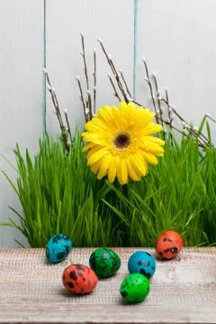 Multi-colored eggs and spring green grass on a light wooden background. Easter Stock Photos