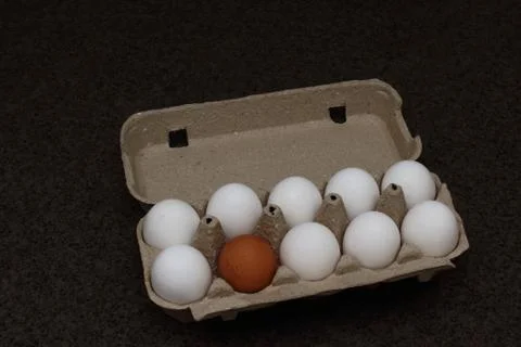 Multi-colored eggs in a package. Organic Eggs from Free Range Chickens Stock Photos