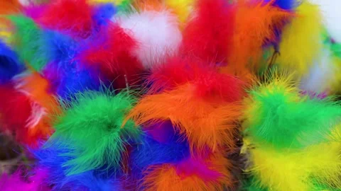 Multi colored feathers flowing in breeze Stock Footage 273251979