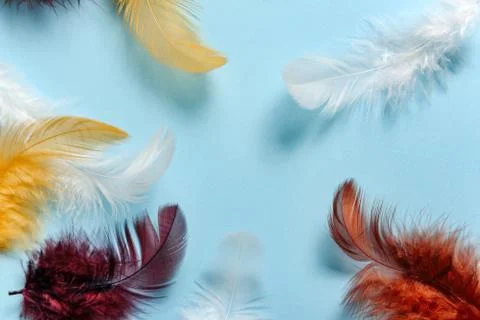 Multi-colored feathers Foto stock