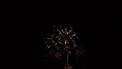 A multi-colored fireworks explodes on a festive night. Stock Footage 79008023