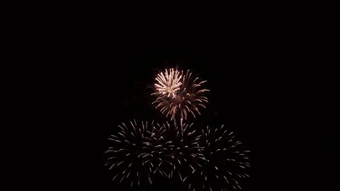 A multi-colored fireworks explodes on a festive night. Stock Footage 79008071
