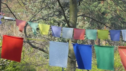 Multi-colored flags with text hanging on a rope. Stock Footage 241795700