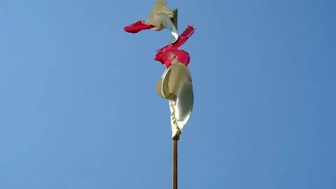 Multi-colored flags waving on a flagpole. Stock Footage 134610480