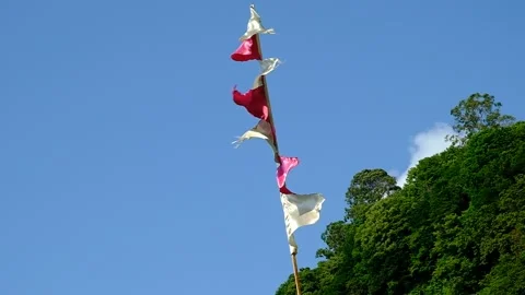 Multi-colored flags waving on a flagpole. Stock Footage 134610866