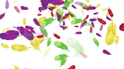 Multi-Colored Floating Feathers Stock Footage 40764915