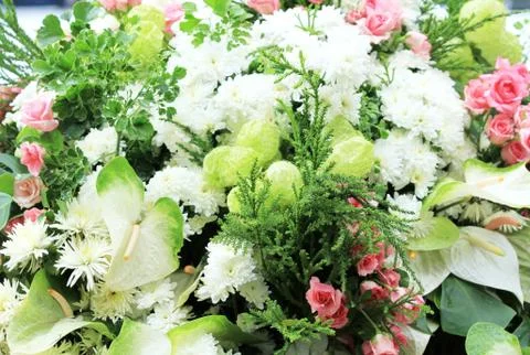 Multi-colored flower background Stock Photos