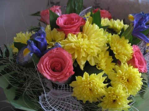 Multi-colored flowers. macro Stock Photos