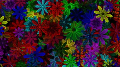 Multi-Colored Flowers Motion Background Stock-Footage 49056298