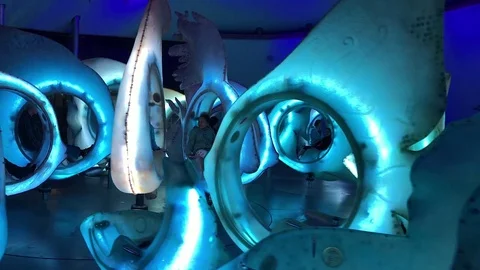 Multi-Colored Flying Fish Fantasy Amusement Ride Stock Footage 77149810