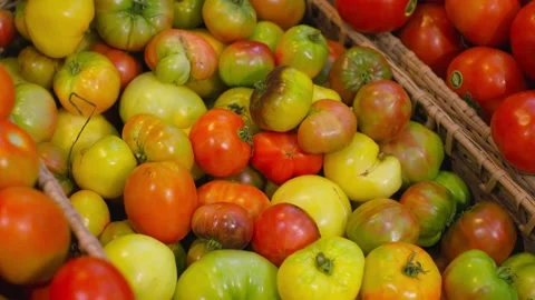 Multi-colored green red yellow ripe and unripe tomatoes on the counter, a hand Stock Footage 256066359