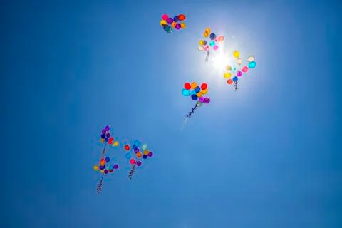 The multi colored helium balloons Stock Photos