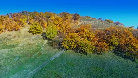 Multi-colored hill overgrown with forest Stock Footage 101068112