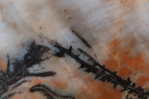 Multi colored Jasper Macro. Stock Photos