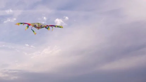 A multi-colored kite against the sky Stock Footage 223508167