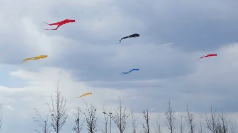 Multi-colored Kites Stock Footage 98141923