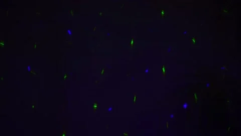 Multi-colored laser lights moving along a dark wall. Nightlife, lighting effe Stock Footage 157982216