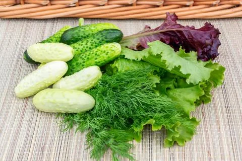 Multi-colored leaf lettuce, cucumbers, dill on a wicker napkin prepared for s Stock Photos
