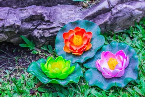 Multi colored lilies 스톡 사진