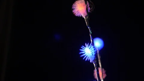 Multi-colored luminous electric garland close-up Stock Footage 123706709
