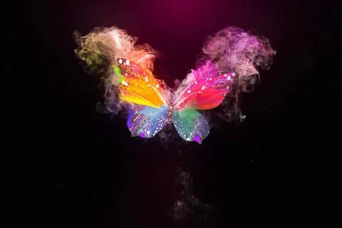 Multi colored magic butterfly on a black background. Multi-colored magic b... Stock Photos