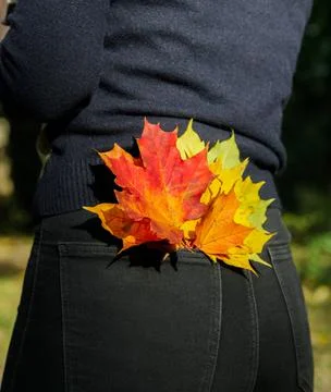 Multi colored maple leaves in the back pocket of the girl black pants Stock Photos