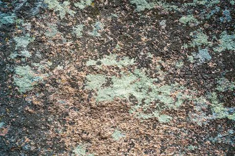 Multi-colored mold texture on the stones Stock-Fotos