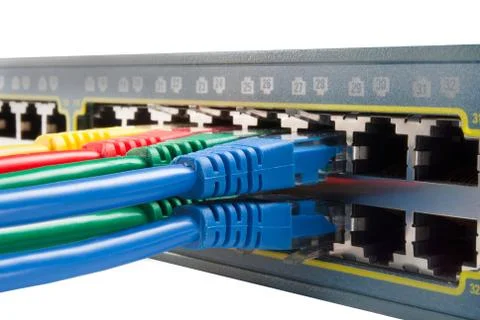 Multi Colored Network Cables Connected to Switch Isolated Stock Photos
