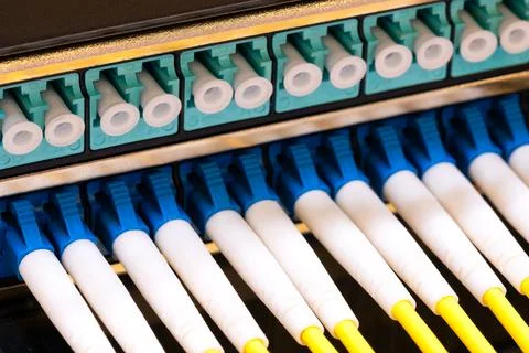 Multi Colored Network Cables Connected to Switch, network  technology concept Foto stock
