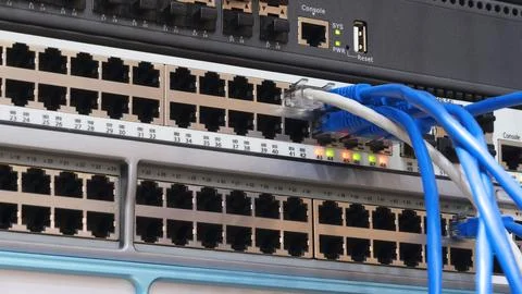 Multi Colored Network Cables Connected to Switch, network  technology concept Stock Photos