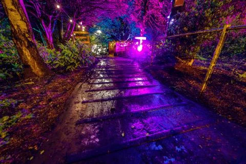 Multi-colored night lighting of the Scottish house garden. Stock Photos