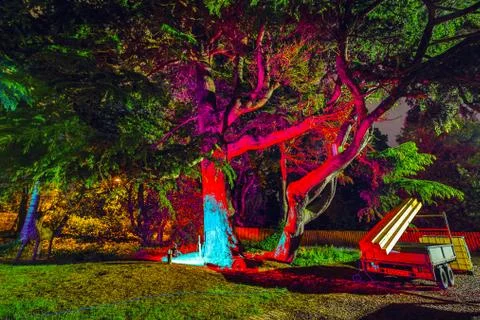 Multi-colored night lighting of the Scottish house garden. Stock Photos