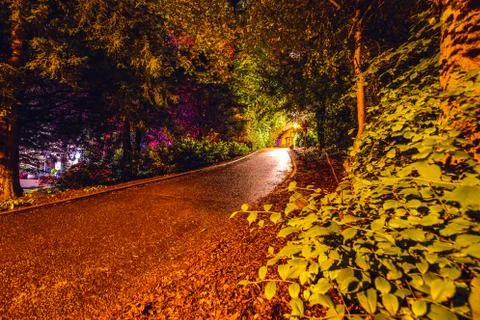 Multi-colored night lighting of the Scottish house garden. Stock Photos