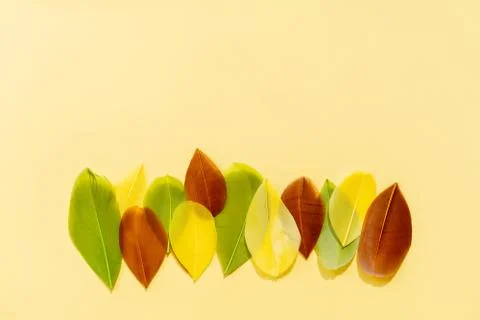 Multi-colored painted feathers are laid out in a row on the yellow background. Foto stock