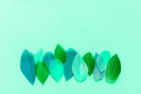 Multi-colored painted feathers are laid out in a row on the blue background. Stock Photos