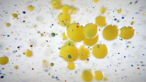 Multi-colored paints in oil. Macro shot Видео 127745067