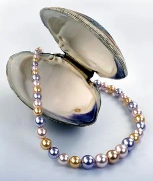 Multi Colored Pearls. Stock Photos
