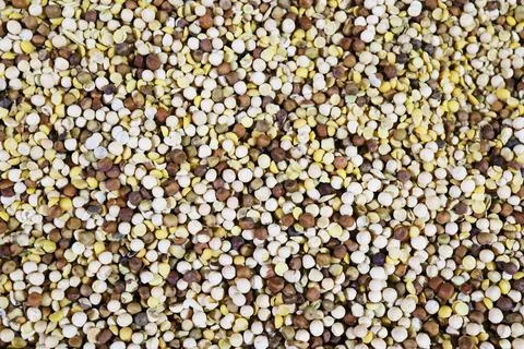 Multi-colored peas, background made of natural products Stock Photos