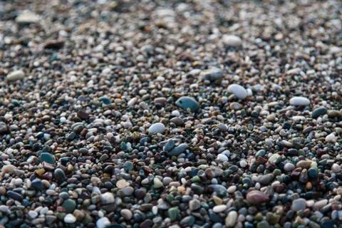 Multi-colored pebbles on the beach, washed by waves Stock Photos