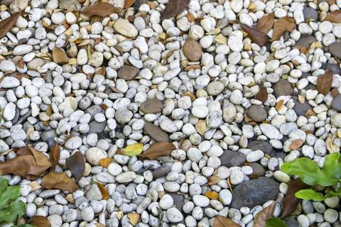 Multi-colored pebbles in the garden area Various sizes of gravel are used i.. Stock Photos